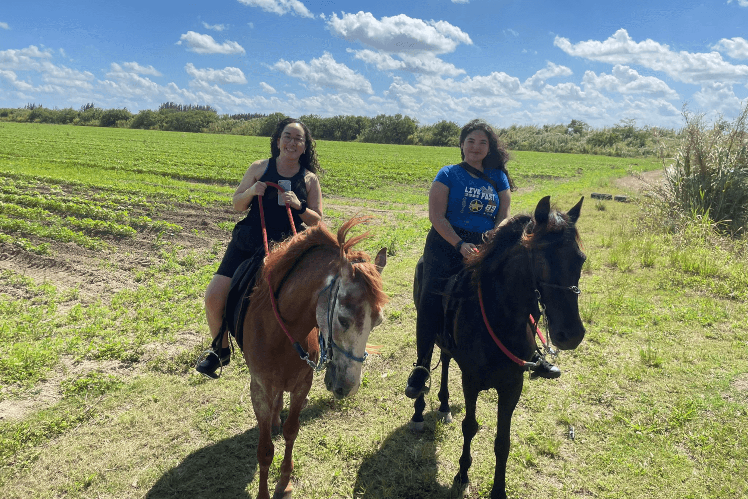 Horseback Riding